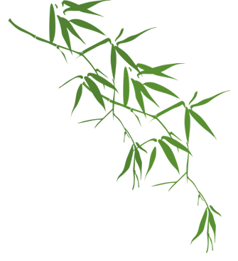 西南政法大学新国辩专访：淬火成钢处，星火映长天